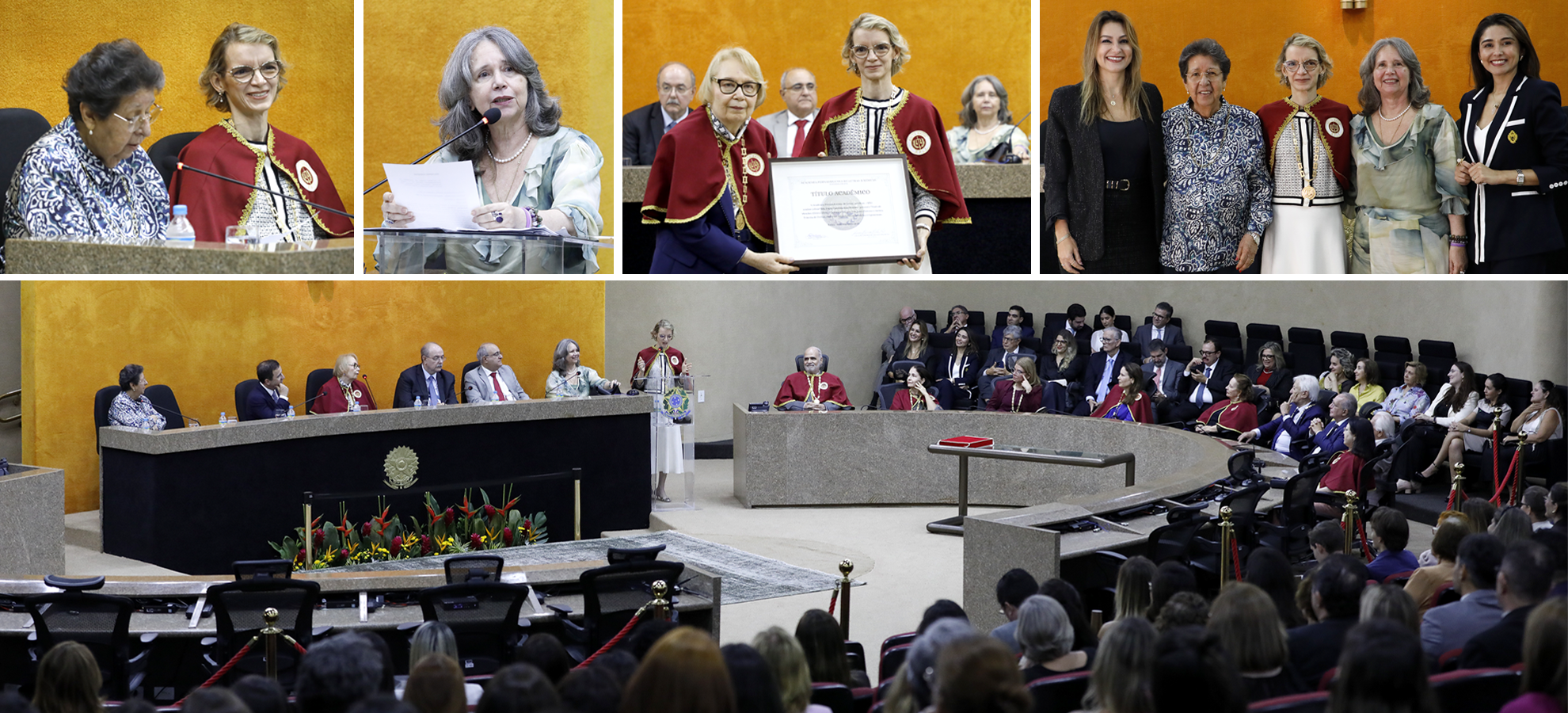 Acesse a notícia comleta: Joana Carolina toma posse na APLJ 