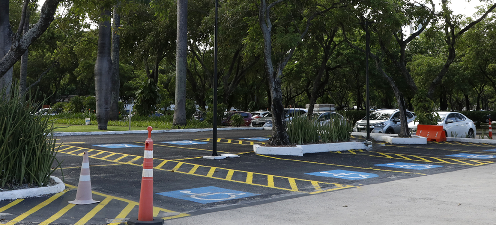 Acesse a notícia comleta: TRF5 divulga Relatório de Ações de Acessibilidade e Inclusão 2025 